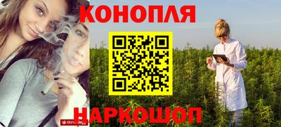 крисы Новозыбков