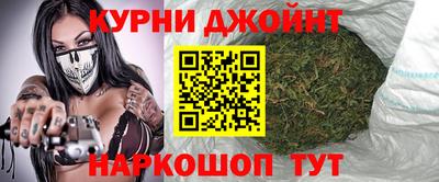 крисы Новозыбков